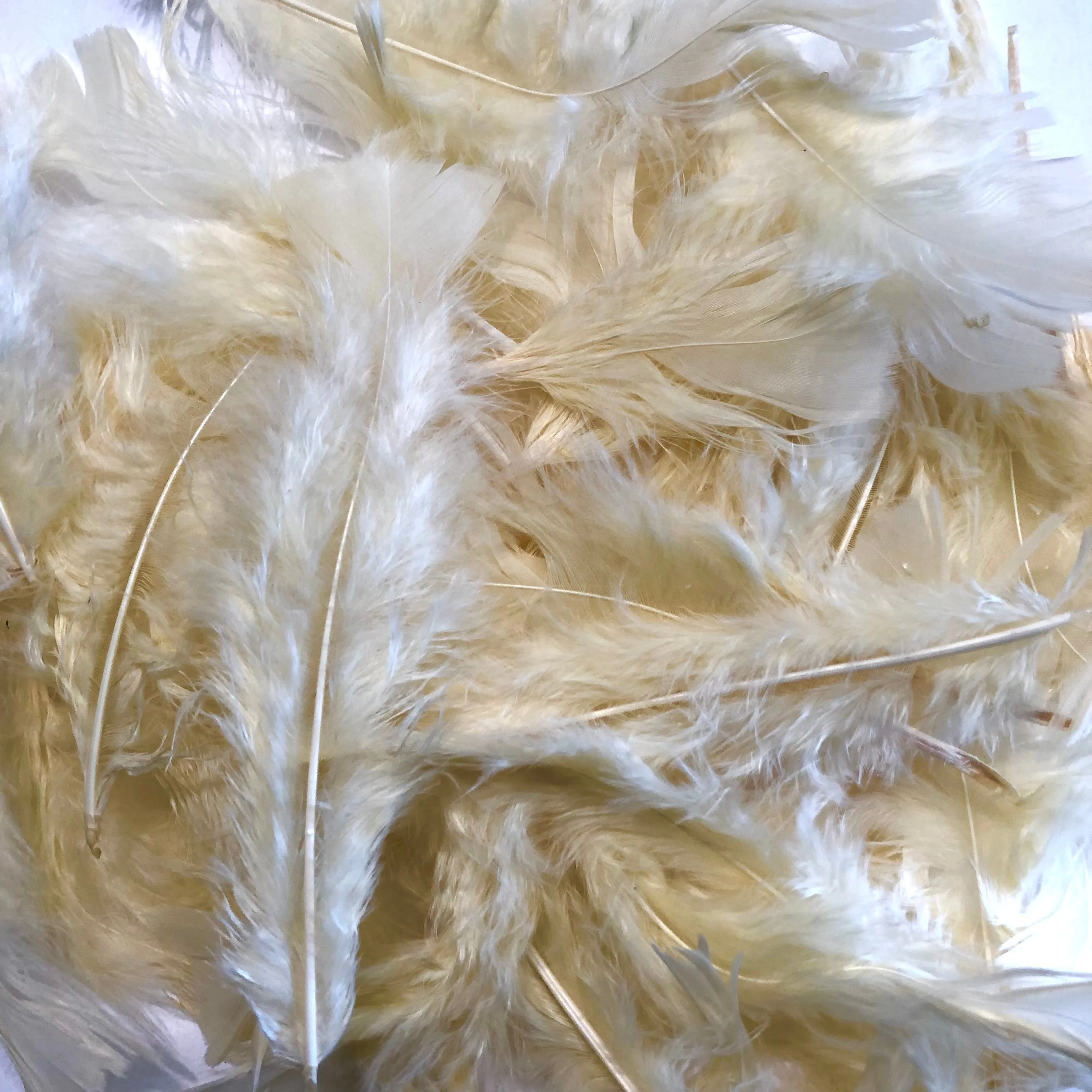 Flat Top Marabou Feather Pack 10 grams - Cream